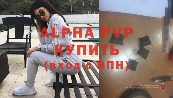 хмурый Богданович