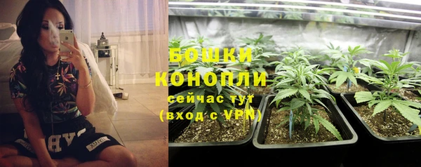 синтетический гашиш Богородицк