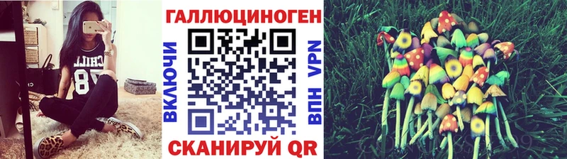 Псилоцибиновые грибы Cubensis  Городище 
